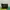Lv Limited Edition Black Python Monogram Embossed Artsy photo 4
