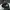 Snsb-407