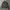 Leather Jacket Biker Vintage