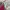 Dress allsize photo 3