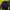 Champion Sportswear Windbreaker Pria navy photo 3