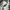 Converse Streetwear Casual Sneakers Pria white black photo 5