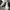 Converse Streetwear Casual Sneakers Pria White Black