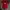 Jersey MU 2016-2017