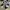 vans knu school photo 1