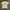 VTG 90s WIDE WORLD STANFORS UNIVERSITY TSHIRT photo 1