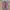 Casual Flat Wanita purple photo 4