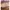 Casual Flat Wanita purple photo 5
