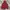 RED JACKET photo 1