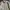 DICKIES WORKSHIRT KHAKIS photo 2