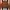 Parkland Vintage Casual Polo shirt Pria brown photo 1