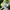 Hoodie Stussy Lime Green photo 4
