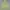 Hoodie Stussy Lime Green photo 1