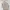 Japanese brand Avant Garde Casual Blouse Wanita white tan photo 2