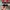 Vans Old Skool Blur Chekerboard photo 5