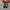 Vans Old Skool Blur Chekerboard photo 4
