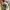 Vans Old Skool Blur Chekerboard photo 7