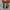 Vans Old Skool Blur Chekerboard photo 3