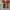 Vans Old Skool Blur Chekerboard photo 6
