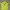 Adidas Sportswear Jersey Pria photo 1