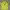 Adidas Sportswear Jersey Pria