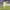 Adidas Sportswear Jersey Pria photo 6