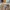 Nb 710 tracking  photo 5