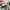 Nb 710 tracking  photo 6