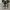 Converse Allstar Hi Black White photo 5