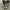 Converse Allstar Hi Black White photo 4