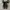 Converse Allstar Hi Fullblack monochorme photo 5