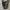 Converse Allstar Hi Fullblack monochorme photo 4