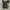 Converse Allstar Hi Fullblack monochorme photo 7