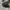 Converse Allstar Hi Fullblack monochorme photo 1