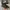 Converse Allstar Hi Fullblack monochorme photo 3