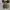 Converse Allstar Low Double Tongue Black White photo 7
