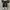 Converse Allstar Low Double Tongue Black White photo 4