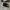 Converse Allstar Low Double Tongue Black White photo 1