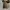 Converse Allstar Archive Camo Zipper photo 7