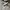 Converse Allstar Archive Camo Zipper photo 1