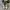 Converse Allstar Archive Camo Zipper photo 5