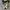 Converse Allstar Archive Camo Zipper photo 4