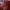 Jersey West ham repro by scoredraw photo 4