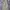 Zalora long dress beige cream photo 1