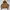 Avirex N-2B Flight Jacket Blouson photo 1