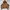 Avirex N-2B Flight Jacket Blouson