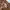 Avirex N-2B Flight Jacket Blouson photo 6