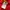Adidas Sportswear Jersey Pria red yellow photo 6