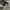 Tas Ransel Hessed ROK Korea Army Granite B Original photo 2