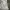 Tas Ransel Hessed ROK Korea Army Granite B Original photo 6
